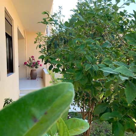 Antonis Chania City Family House 外观 照片